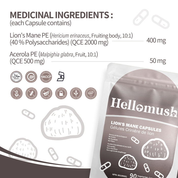 Organic Lion's Mane Mushroom Capsules – Pure Lion's Mane Extract – 90 Capsules