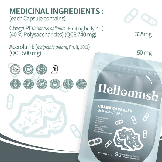 Organic Chaga Mushroom Capsules – Premium Chaga Extract Capsules (90 Capsules)