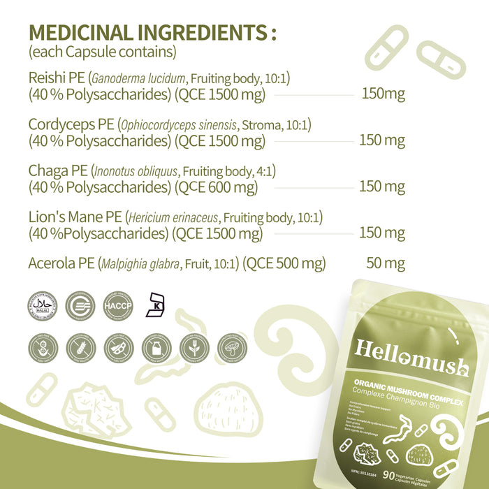 Organic Mushroom Complex Capsules – Lion's Mane, Reishi, Chaga & Cordyceps – 90 Capsules