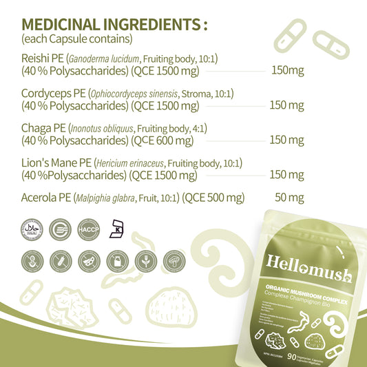 Organic Mushroom Complex Capsules – Lion’s Mane, Reishi, Chaga & Cordyceps