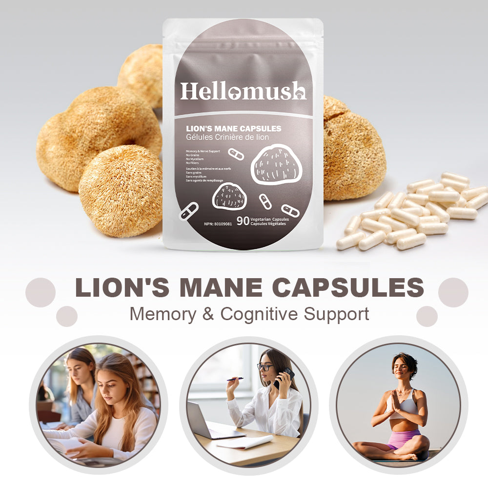 Organic Lion's Mane Mushroom Capsules – Pure Lion's Mane Extract – 90 Capsules