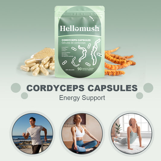 Organic Cordyceps Mushroom Capsules – Pure Cordyceps Extract – 90 Capsules
