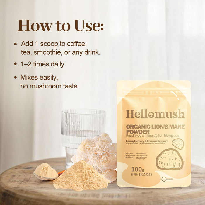 Organic Lion's Mane Mushroom Powder – Pure Lion's Mane Extract – 100g