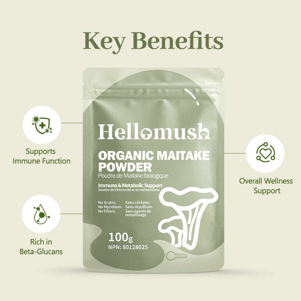 Organic Maitake Mushroom Powder – Pure Grifola frondosa Extract – 100g