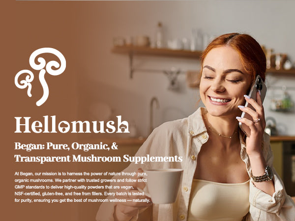 Organic Reishi Mushroom Powder – Pure Ganoderma lucidum Extract – 100g