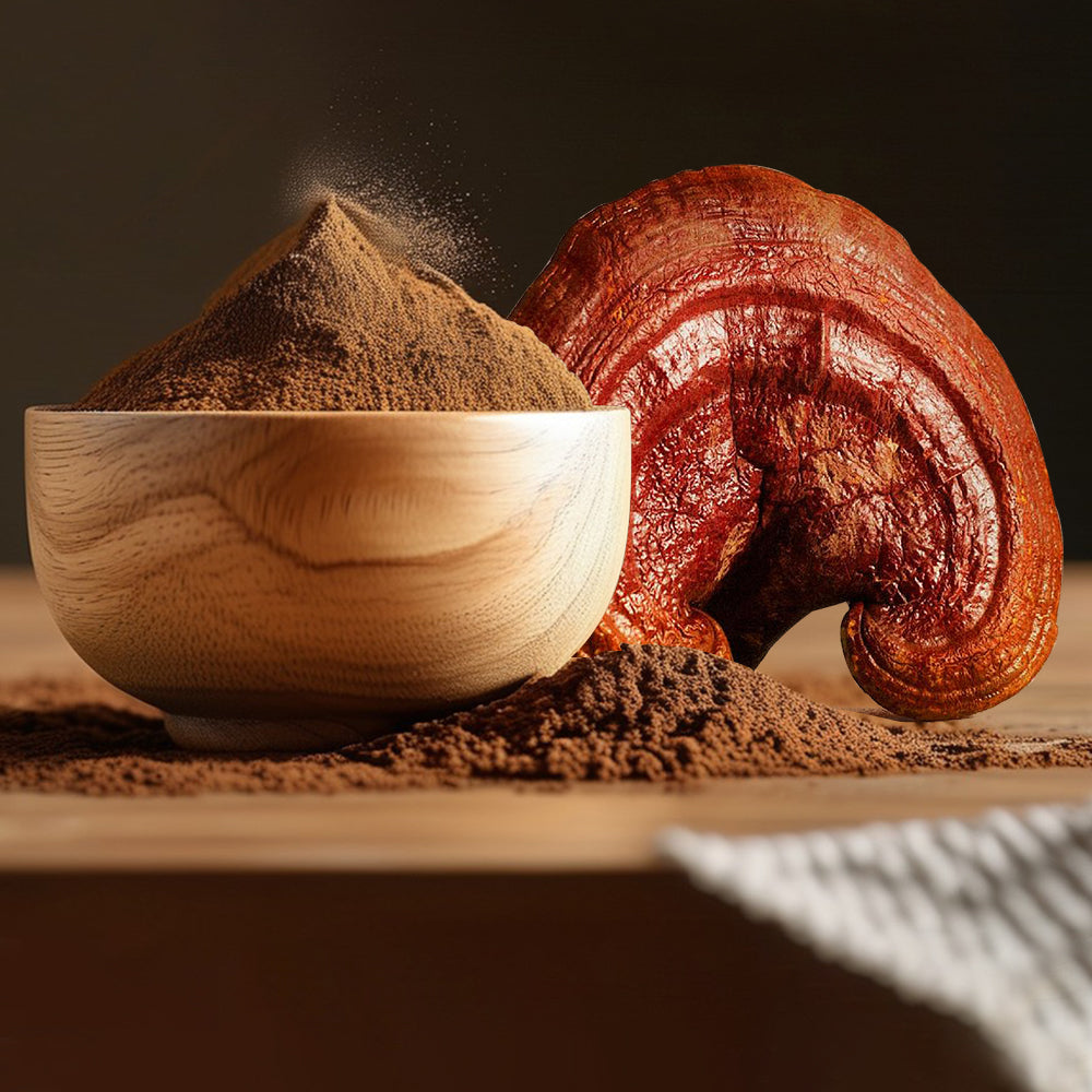Mushroom Powder Extract