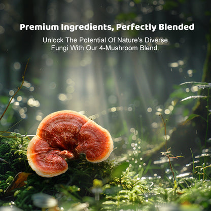 Organic Instant Mushroom Coffee – 4-Mushroom Blend – 105g, 30 Servings