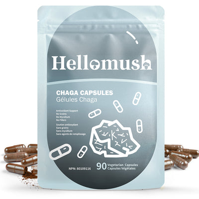 Organic Chaga Mushroom Capsules – Wild-Harvested Chaga Extract – 90 Capsules