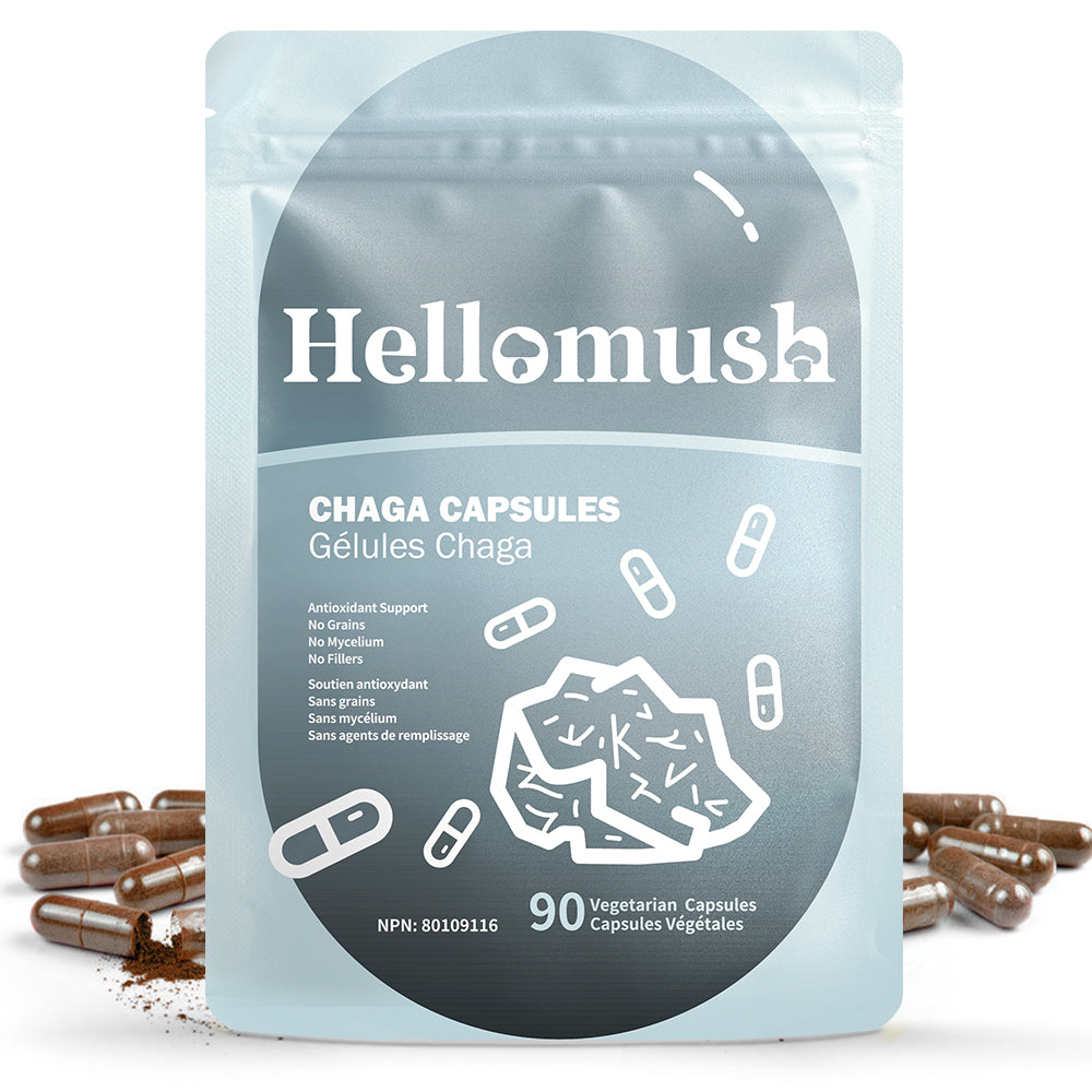 Hellomush Chaga Capsules 90 Caps