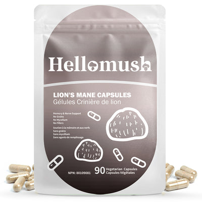 Organic Lion's Mane Mushroom Capsules – Pure Lion's Mane Extract – 90 Capsules