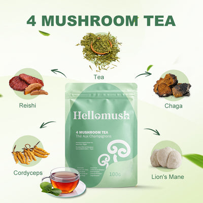 Organic Loose-Leaf Mushroom Tea – Green Tea with Lion's Mane, Reishi, Chaga & Cordyceps – 100g
