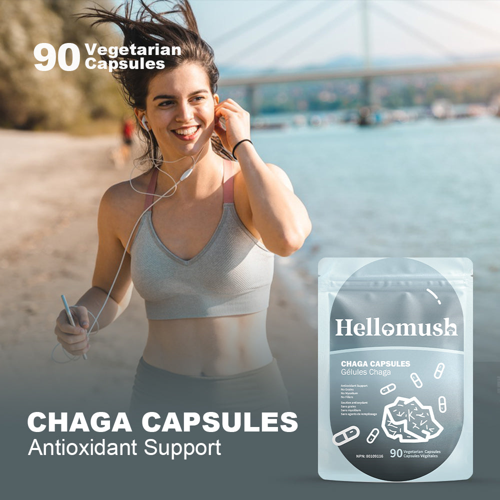 Hellomush Chaga Capsules 90 Caps
