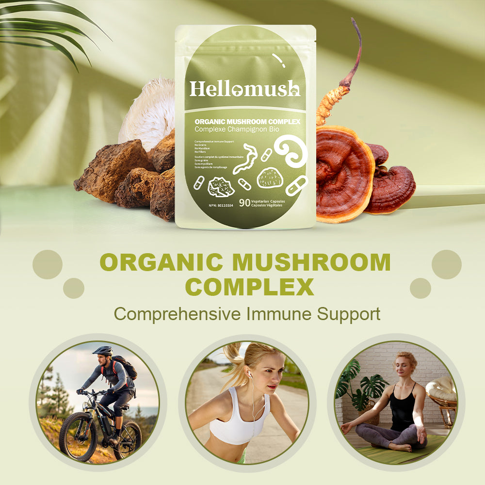 Organic Mushroom Complex Capsules – Lion's Mane, Reishi, Chaga & Cordyceps – 90 Capsules
