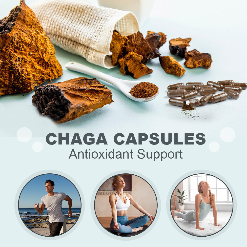Organic Chaga Mushroom Capsules – Wild-Harvested Chaga Extract – 90 Capsules