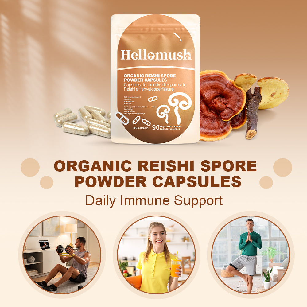 Hellomush Organic Reishi Spore Powder Capsules 90 Caps