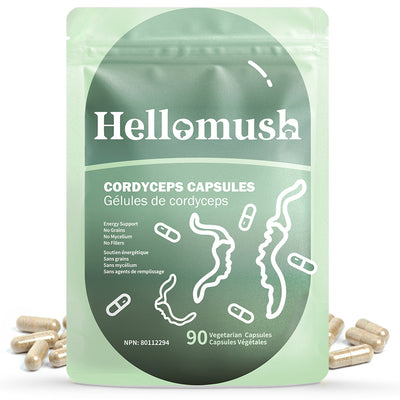 Organic Cordyceps Mushroom Capsules – Pure Cordyceps Extract – 90 Capsules
