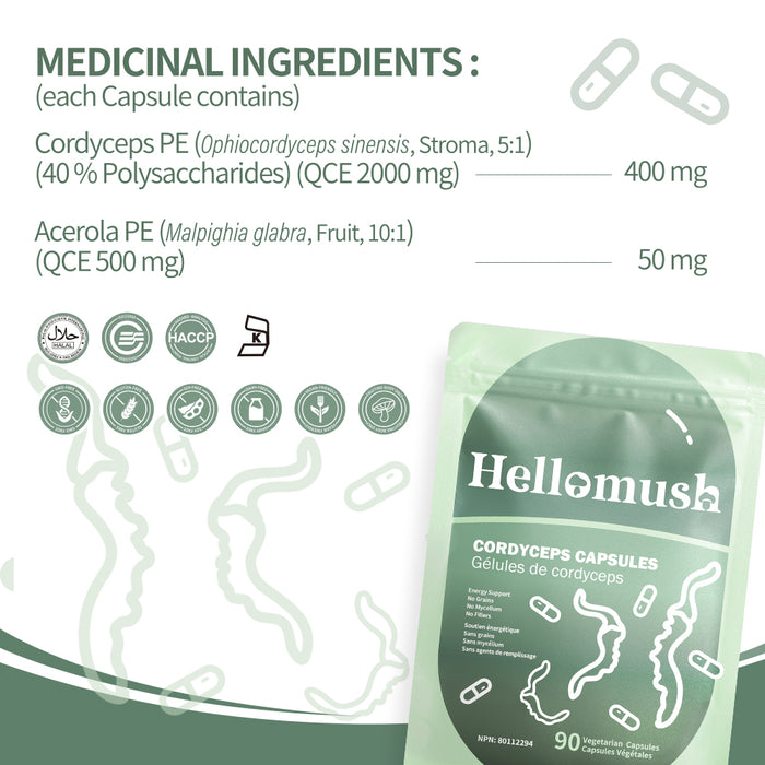 Organic Cordyceps Mushroom Capsules – Pure Cordyceps Extract – 90 Capsules