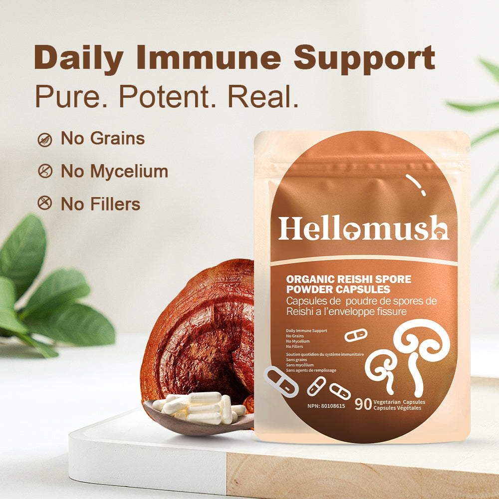 Organic Reishi Spore Powder Capsules – Reishi Mushroom Spores – 90 Capsules