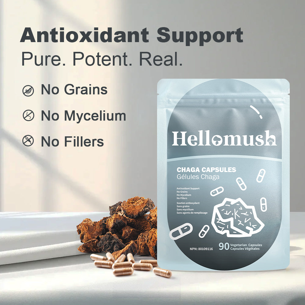 Hellomush Chaga Capsules 90 Caps