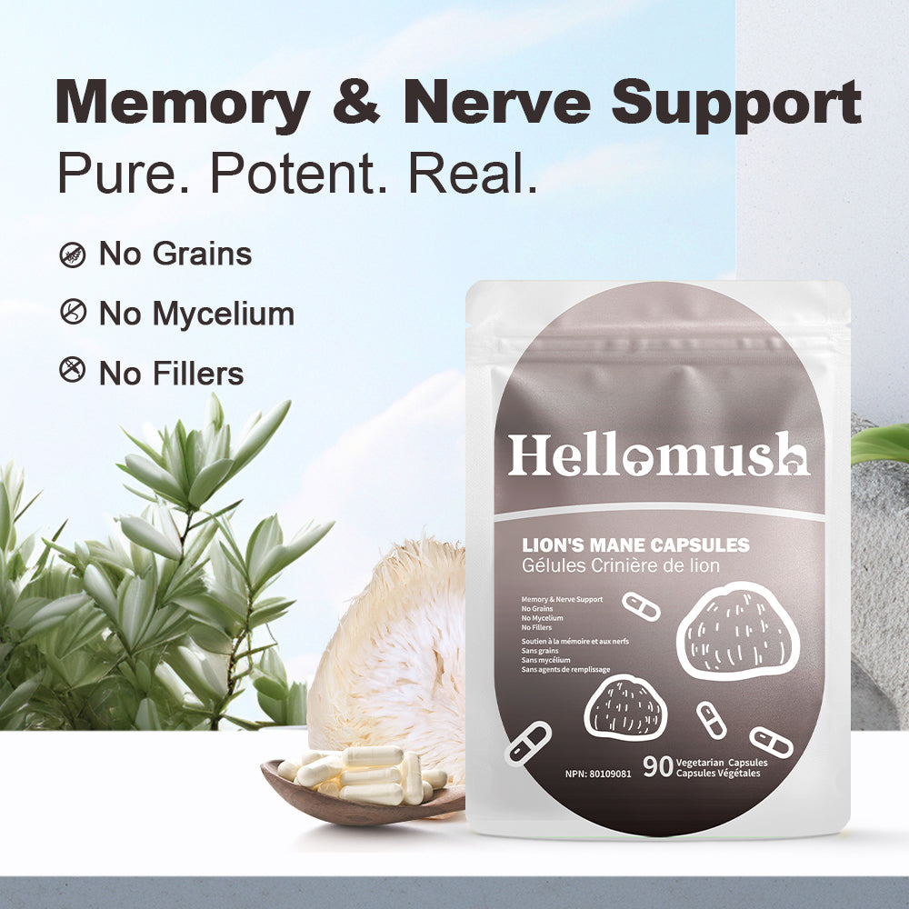 Hellomush Lion's Mane Capsules 90 Caps