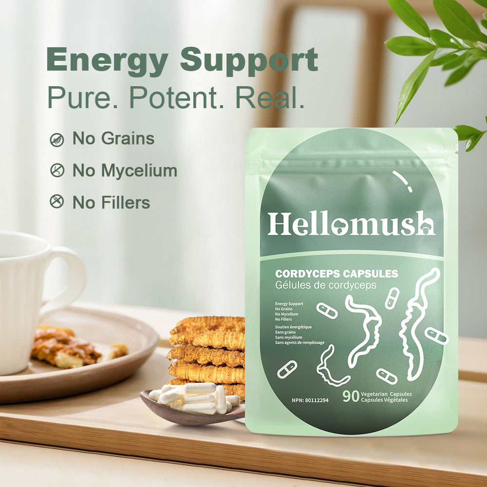 Hellomush Cordyceps Capsules 90 Caps