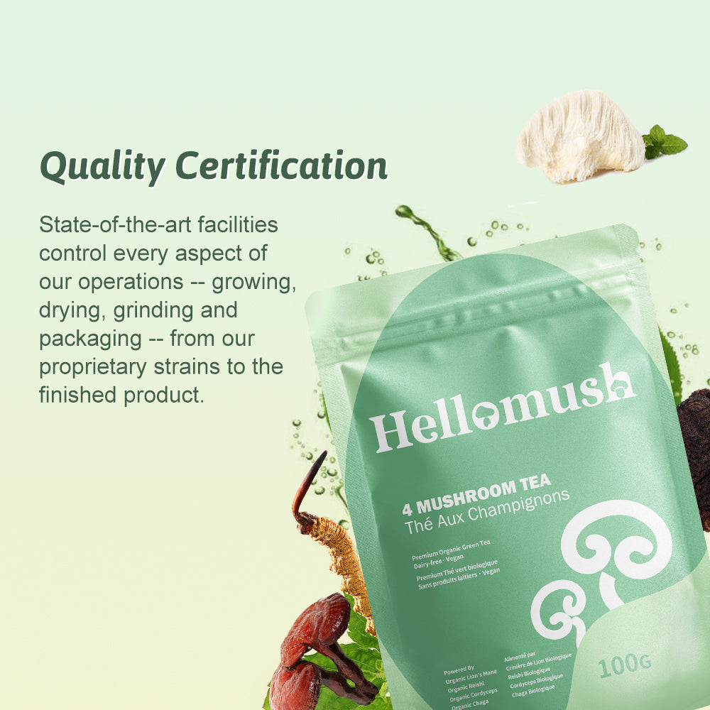 Hellomush Premium Organic 4 Mushroom Tea 100g