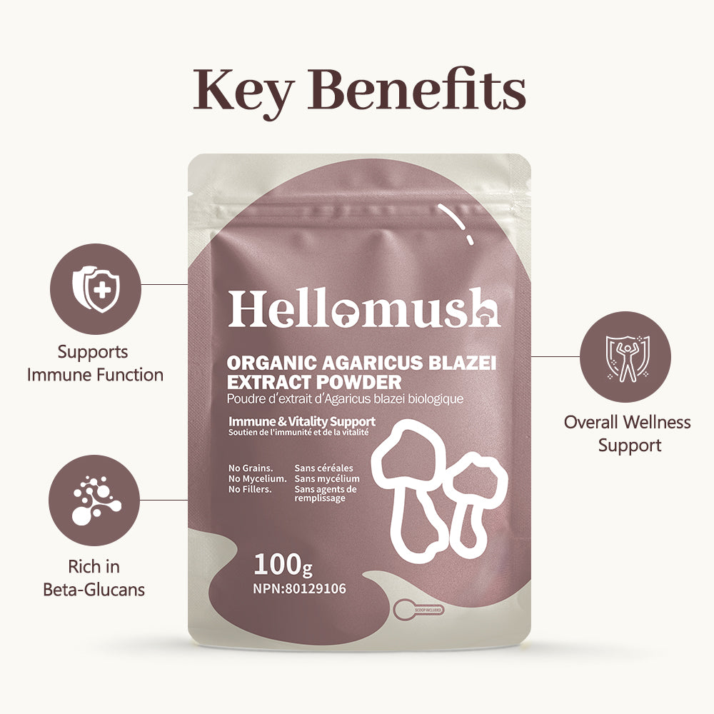 Organic Agaricus Blazei Mushroom Powder – 100% Pure Extract – 100g