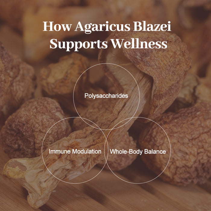 Organic Agaricus Blazei Mushroom Powder – 100% Pure Extract – 100g
