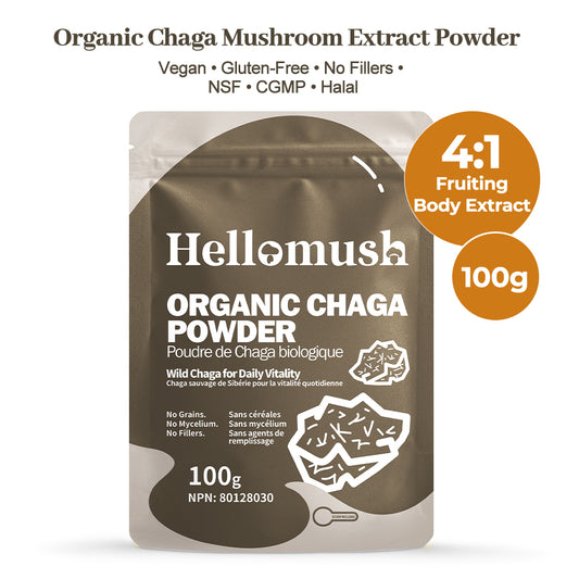 Hellomush Organic Chaga Mushroom Powder - 100% Pure Wild Harvested Superfood Extract for Immune Support - Natural Antioxidant for Tea, Smoothies and Coffee - 100 grams