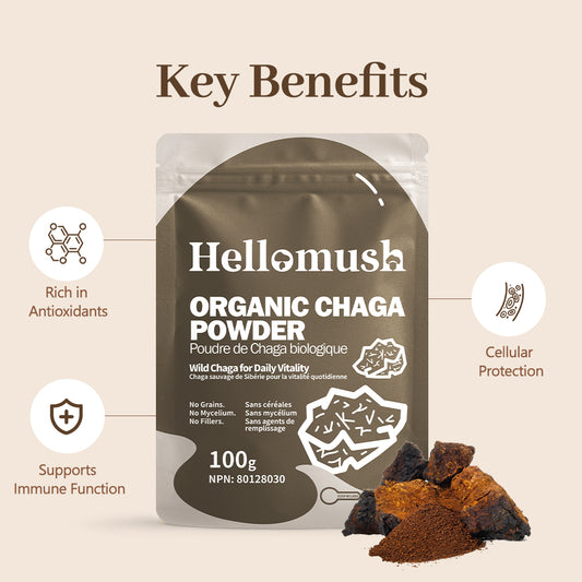 Organic Chaga Mushroom Powder – 100% Pure Wild-Harvested Extract – 100g
