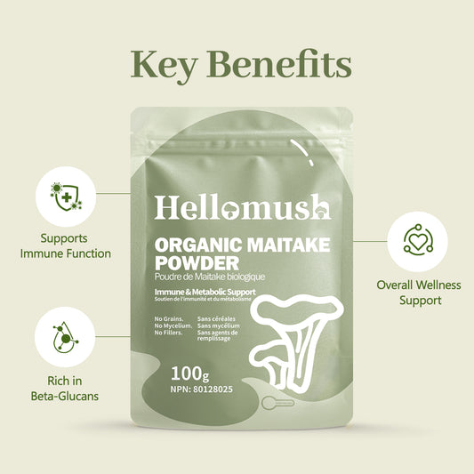 Organic Maitake Mushroom Powder – Pure Grifola frondosa Extract – 100g