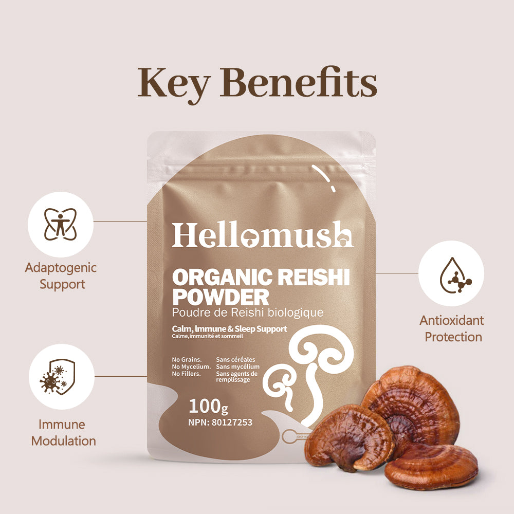 Organic Reishi Mushroom Powder – Pure Ganoderma lucidum Extract – 100g
