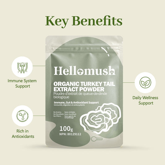Organic Turkey Tail Mushroom Powder – Pure Turkey Tail Extract, Non-GMO & Vegan – 100g